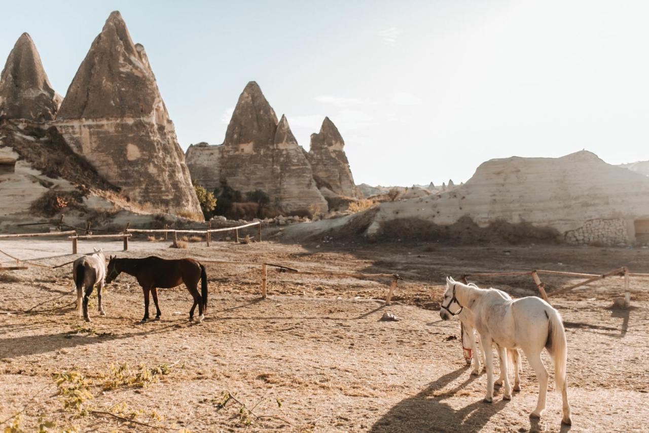 Sandik Cave Suites Nevsehir Exteriér fotografie