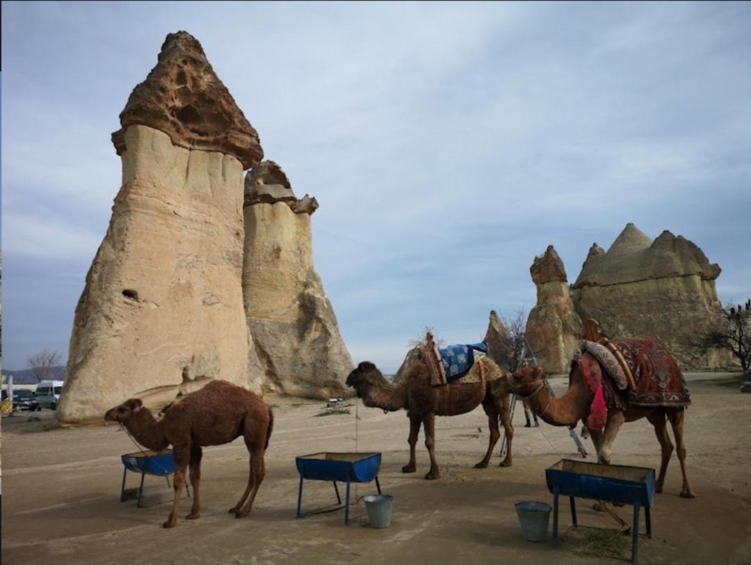 Sandik Cave Suites Nevsehir Exteriér fotografie